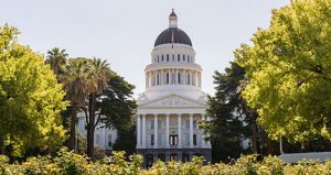 Click here to learn more about our Government services